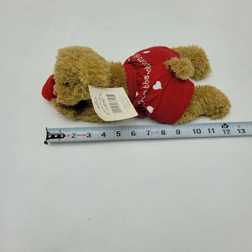 Hallmark Plush Bunnies By The Bay Bobby‎ Boxer Bear Heart 2002 Valentines Day